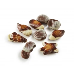Boîte de Chocolat Fruits de Mer 3,5 kg Chocolaterie Ickx