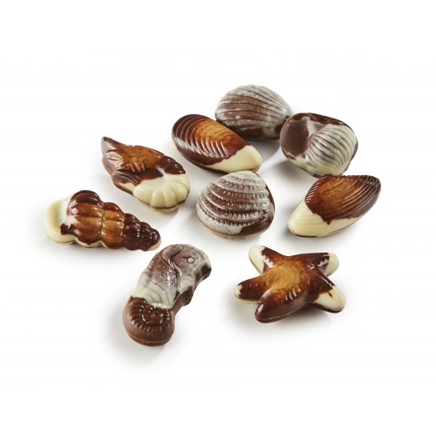 Boîte de Chocolat Fruits de Mer 3,5 kg Chocolaterie Ickx 1 Boîte de Chocolat Fruits de Mer 3,5 kg Chocolaterie Ickx