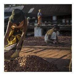 Chocolat de Couverture Noir Millot 74% Bio 250g Valrhona 7 Chocolat de Couverture Noir Millot 74% Bio 250g Valrhona -Capfruit Shop chocolat de couverture noir millot 74 bio 250g valrhona 2