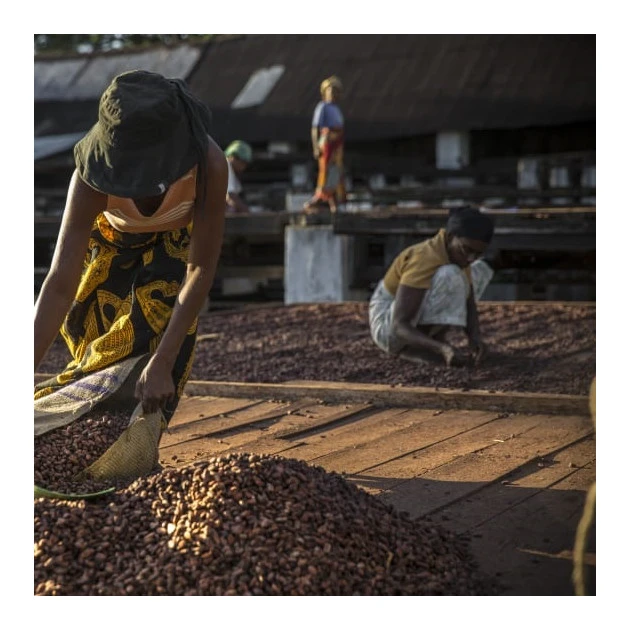 Chocolat de Couverture Noir Millot 74% Bio 250g Valrhona 4 Chocolat de Couverture Noir Millot 74% Bio 250g Valrhona â Image 4